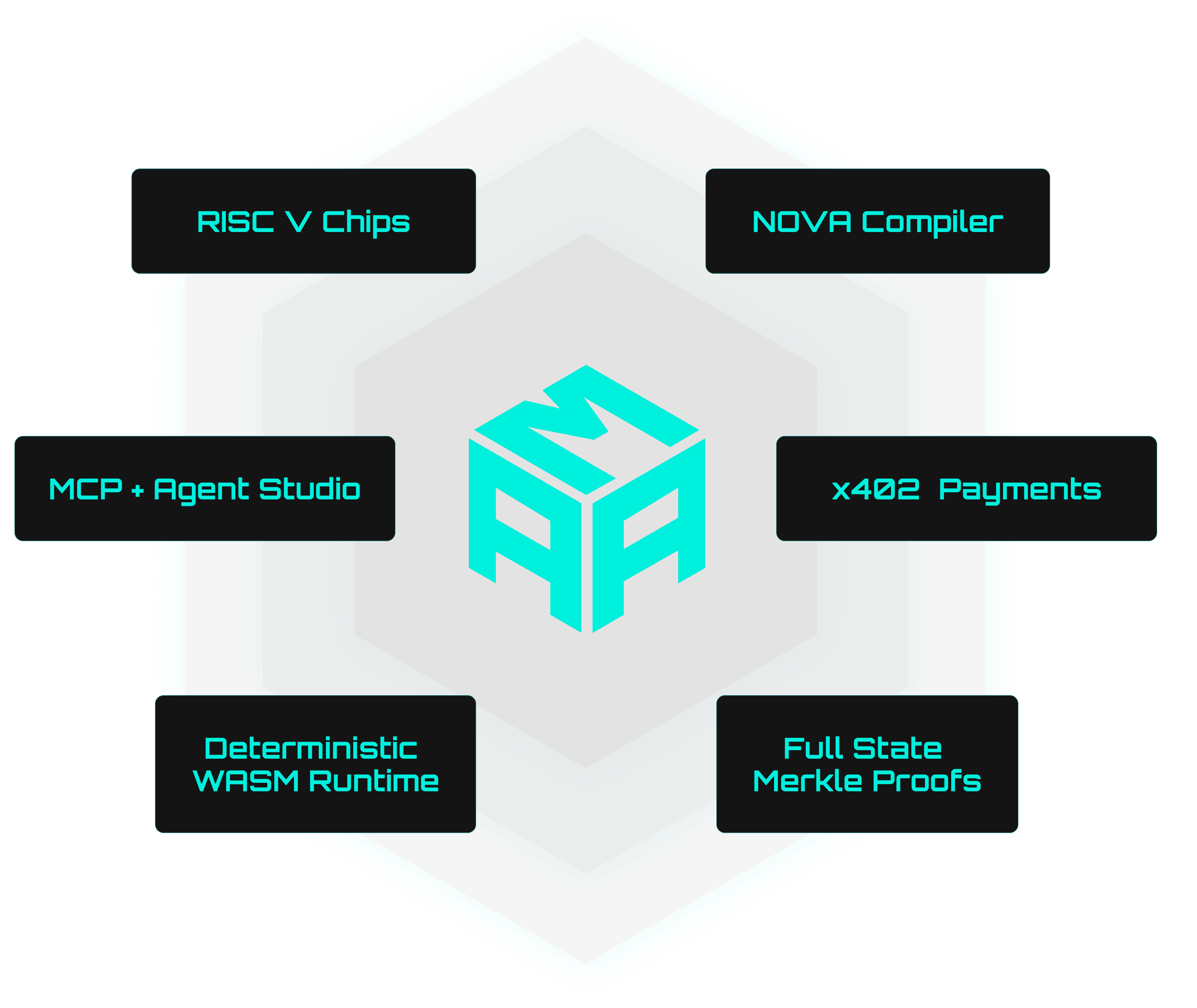 Amadeus platform highlights and features visualization